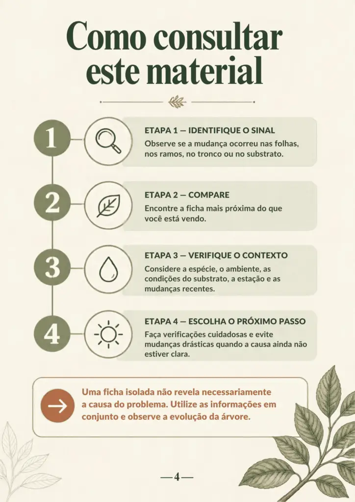 20 Problemas do Bonsai PG4