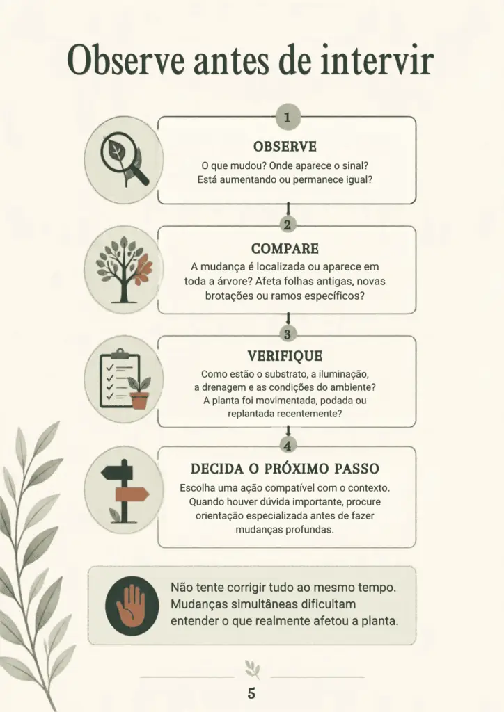 20 Problemas do Bonsai PG5