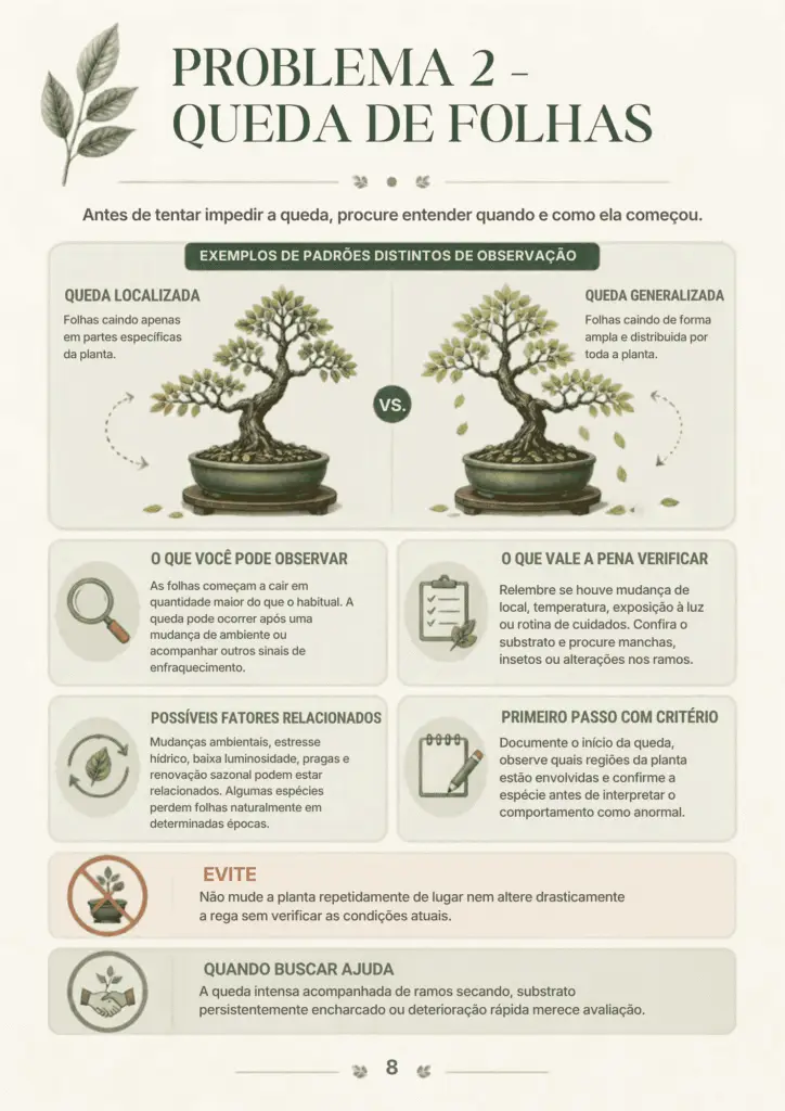 20 Problemas do Bonsai PG8