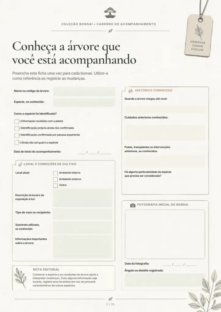 BÔNUS 2 — DIÁRIO DE EVOLUÇÃO DO BONSAI PG3