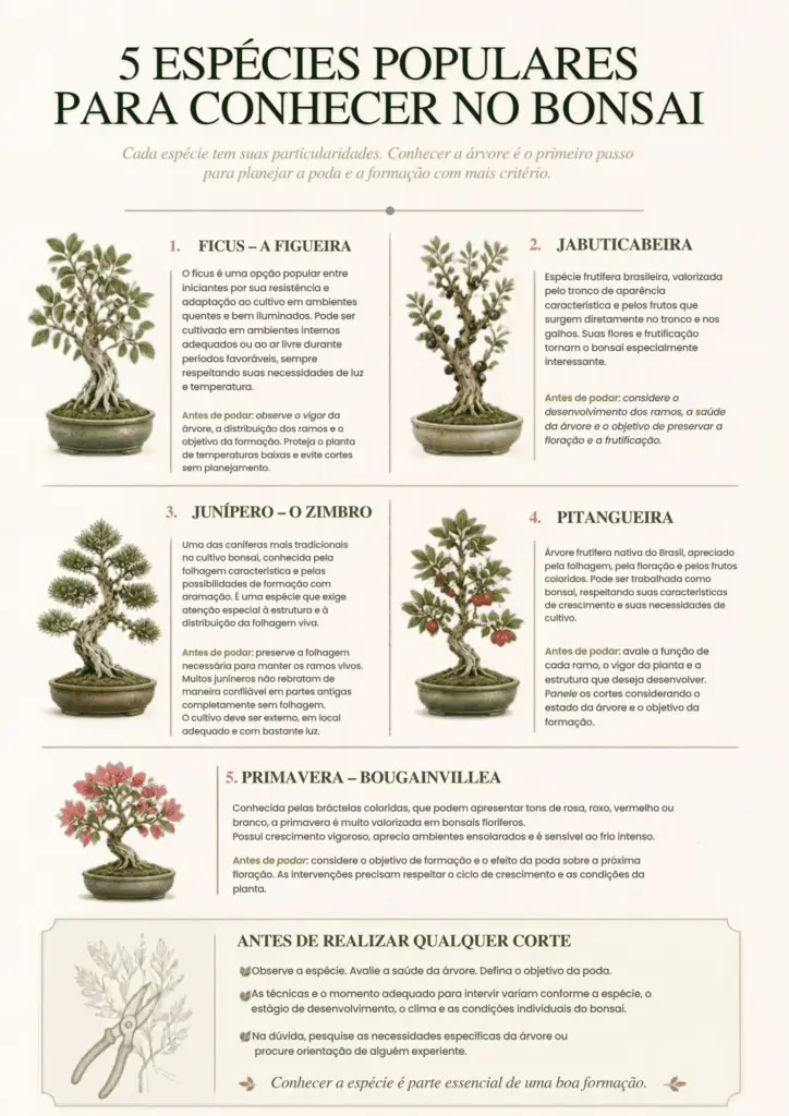 BÔNUS 3 — MAPAS DE PODA E FORMAÇÃO PG13