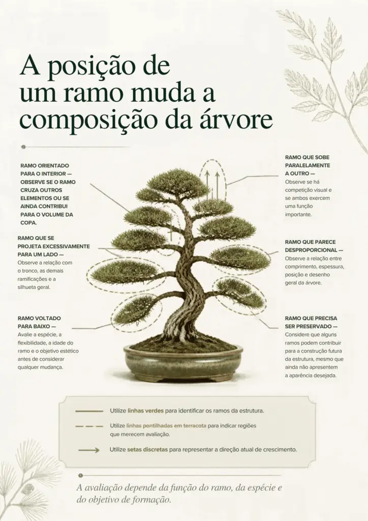 BÔNUS 3 — MAPAS DE PODA E FORMAÇÃO PG7